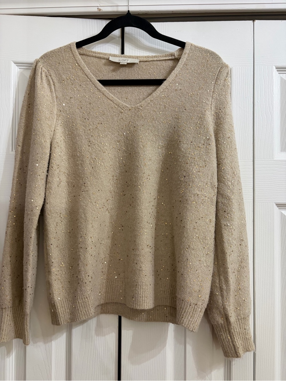LOFT Beige/Cream Sequin V-Neck Sweater